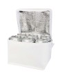 Tassen & Zakken 4DO Spectrum gerecyclede non woven koeltas voor 6 blikjes 4l voor bedrukking &amp; borduring