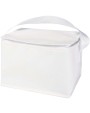 Tassen & Zakken 4DO Spectrum gerecyclede non woven koeltas voor 6 blikjes 4l voor bedrukking &amp; borduring