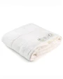 Bad artikelen A&R Natural Bamboo Beach Towel voor bedrukking &amp; borduring