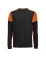 T-shirts PRINTER Prime T-shirt Long Sleeve
T-shirt Heren voor bedrukking &amp; borduring