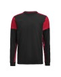 T-shirts PRINTER Prime T-shirt Long Sleeve
T-shirt Heren voor bedrukking &amp; borduring