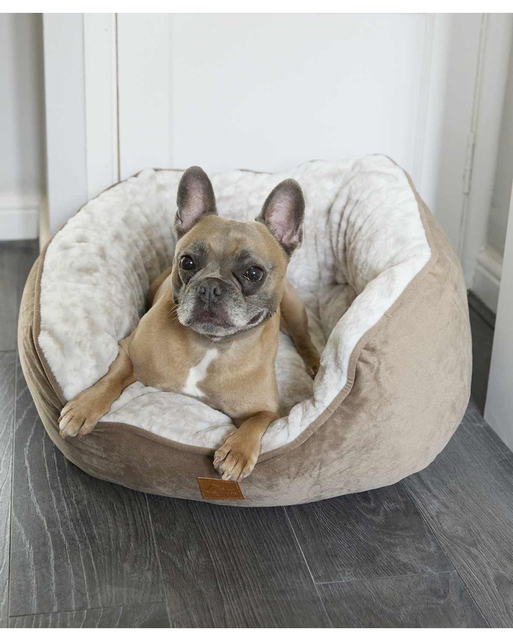 Accessoires personnalisable HOME & LIVING Lit papillon pour chien