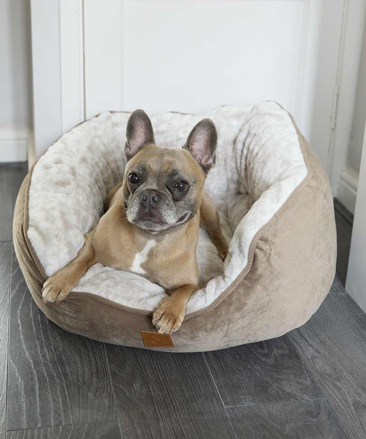 Benodigdheden HOME & LIVING Dog butterfly bed voor bedrukking &amp; borduring