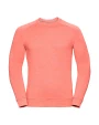 Sweaters & hoodies RUSSELL Men's HD Raglan Sweat voor bedrukking &amp; borduring
