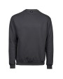 Sweaters & hoodies TEE JAYS HEAVY SWEATSHIRT voor bedrukking &amp; borduring