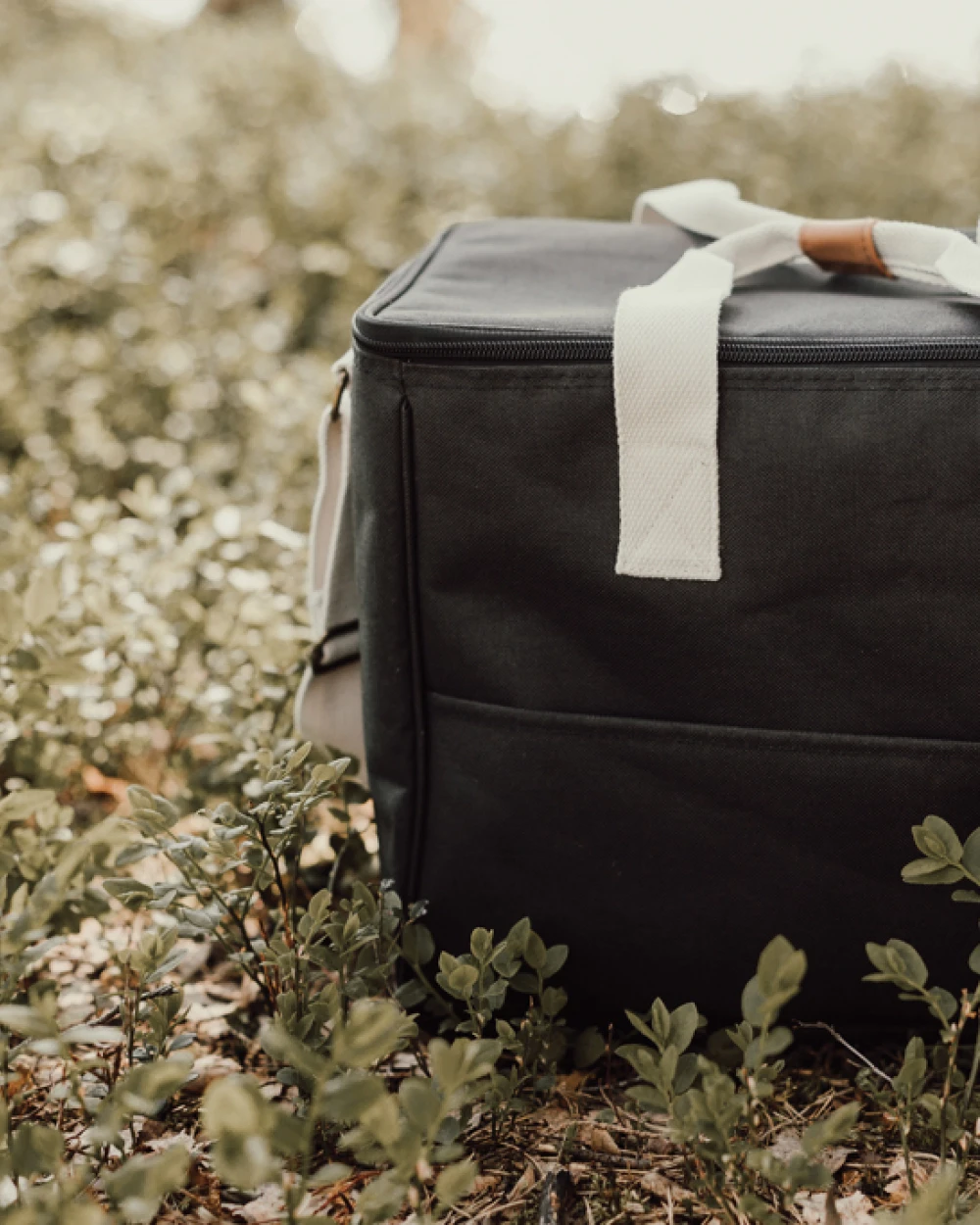 Sacs & Bagagerie personnalisable VINGA VINGA Panier isotherme Sortino