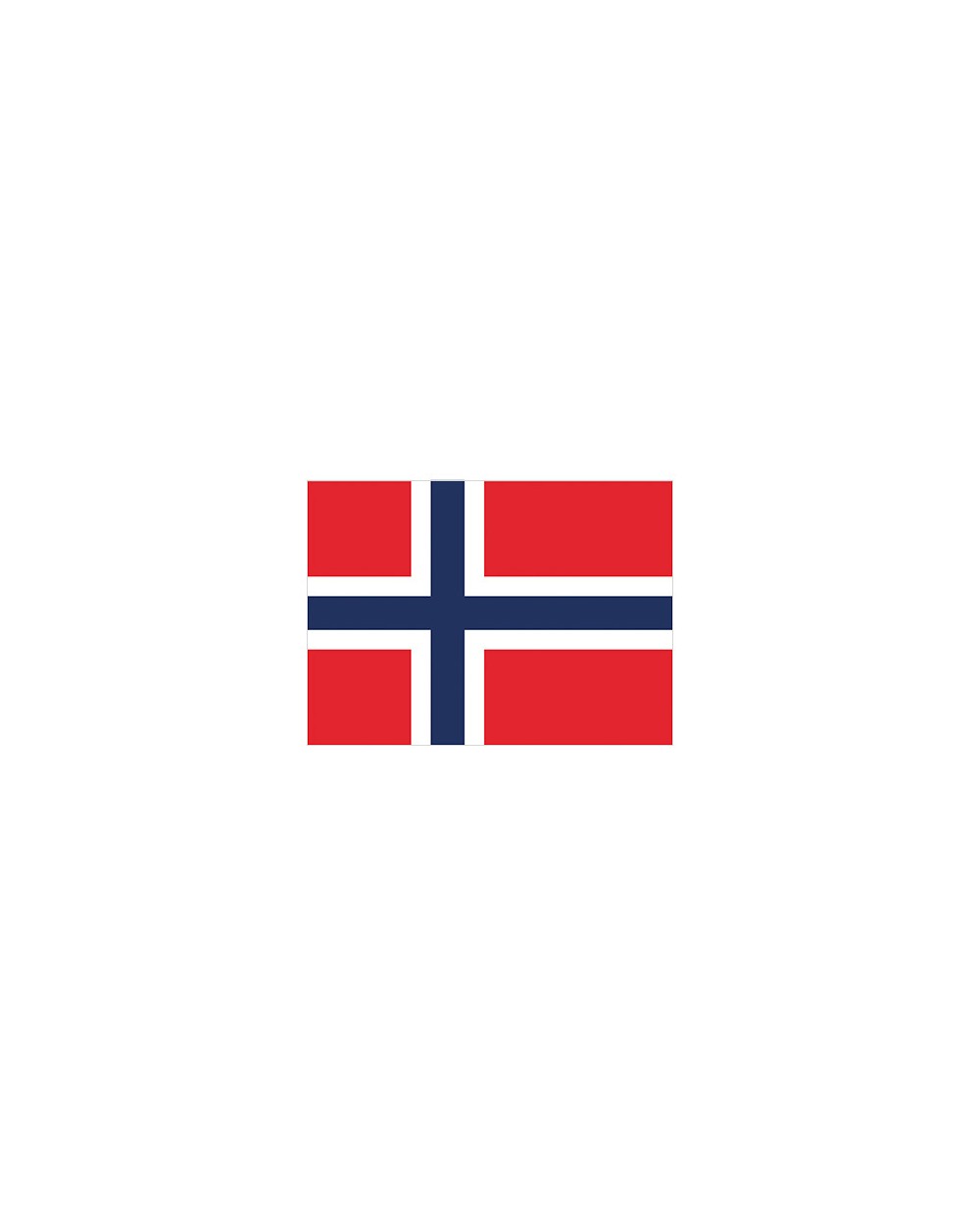 Accessoires personnalisable PRINTWEAR Flag Norway