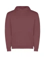 Sweaters & hoodies ROLY CAPUCHA voor bedrukking &amp; borduring