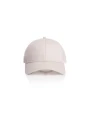 Petjes AS COLOUR Icon Trucker Cap voor bedrukking &amp; borduring