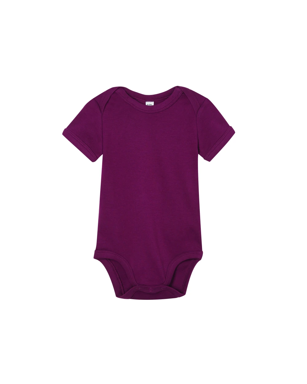 Baby artikelen BABYBUGZ BABY BODYSUIT voor bedrukking &amp; borduring