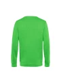 B&C INSPIRE CREW NECK /api/colors/af4ee8a3-ed68-46aa-b351-f8472ceb36f9 personnalisable