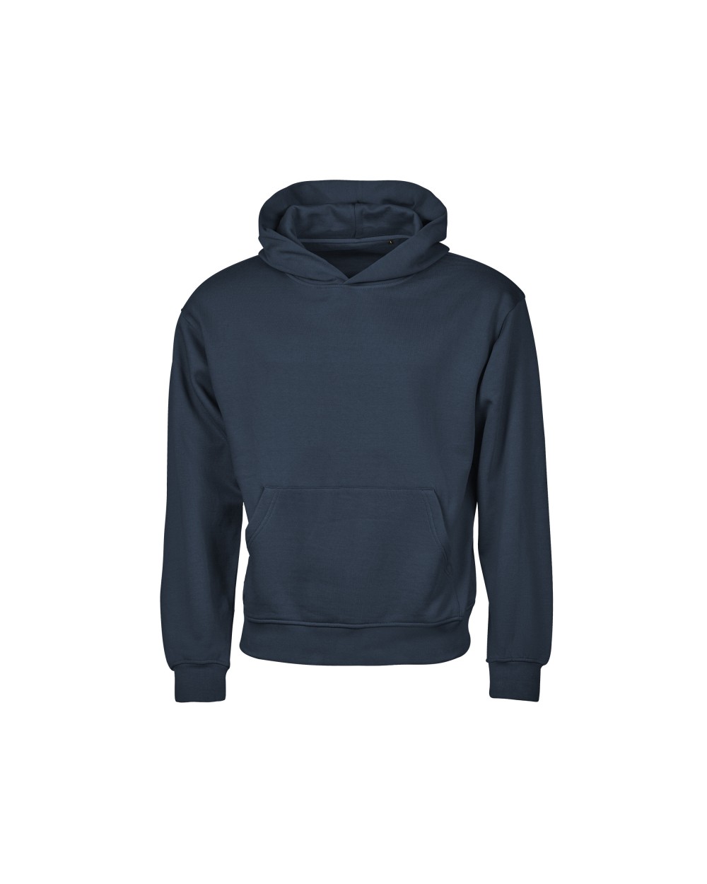 Sweaters & hoodies TEE JAYS UNLABELED HEAVY LOOSE FIT HOODED SWEATSHIRT voor bedrukking &amp; borduring