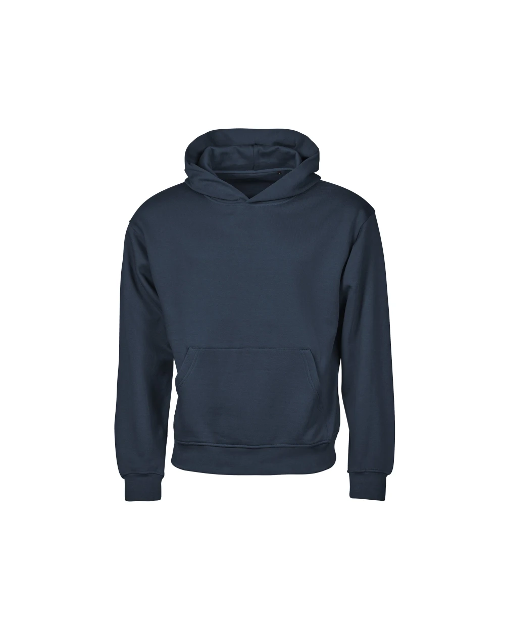 Sweat-shirts personnalisable TEE JAYS UNLABELED HEAVY LOOSE FIT HOODED SWEATSHIRT