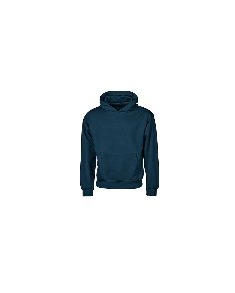 Sweat-shirts personnalisable TEE JAYS UNLABELED HEAVY LOOSE FIT HOODED SWEATSHIRT