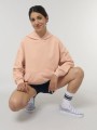 Sweat-shirts à personnaliser STANLEY/STELLA Cooper Dry 
