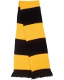 RESULT Team Scarf Schals personalisierbar