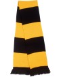 RESULT Team Scarf Schals personalisierbar