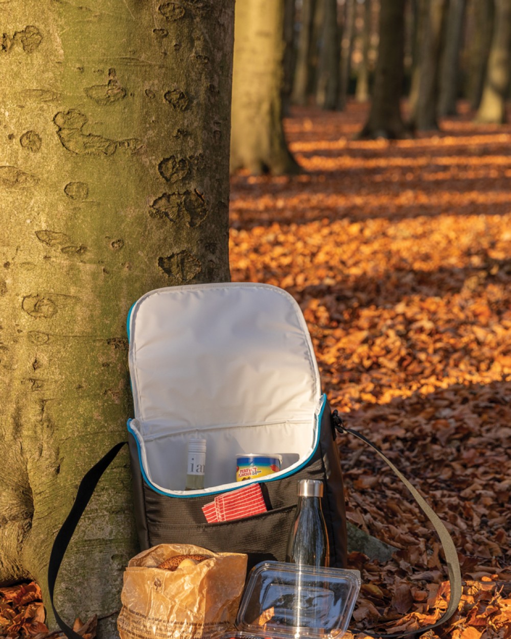 Sacs & Bagagerie personnalisable 4DO Sac isotherme moyen