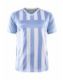 T-shirts CRAFT Progress 2.0 Stripe Jersey M voor bedrukking &amp; borduring