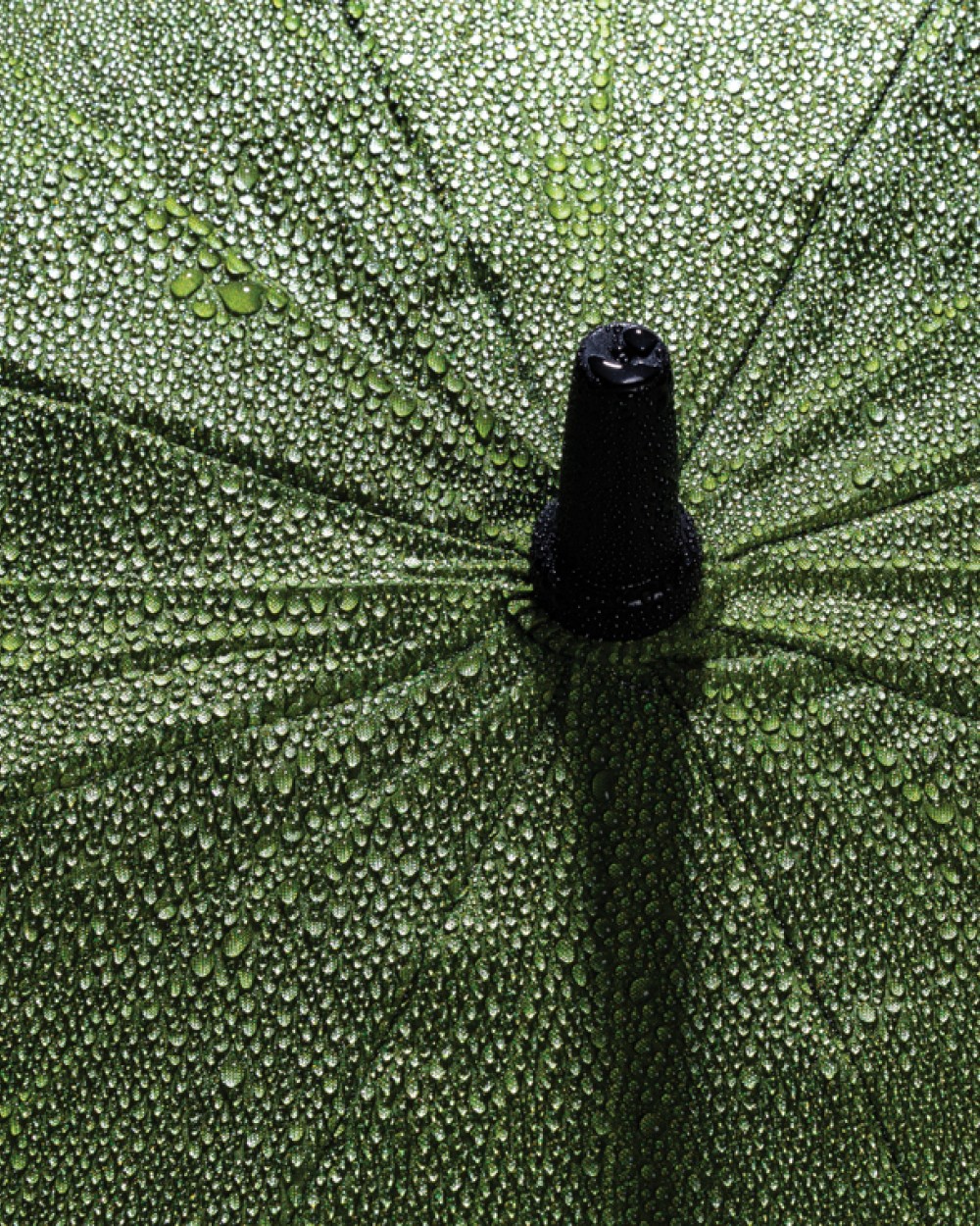 Paraplu's 4DO 30" Impact AWARE™ RPET 190T storm proof paraplu voor bedrukking &amp; borduring