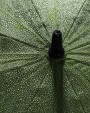 Parapluies personnalisable 4DO Parapluie tempête 30" en rPET 190T Impact AWARE™