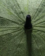 Parapluies personnalisable 4DO Parapluie tempête 30" en rPET 190T Impact AWARE™