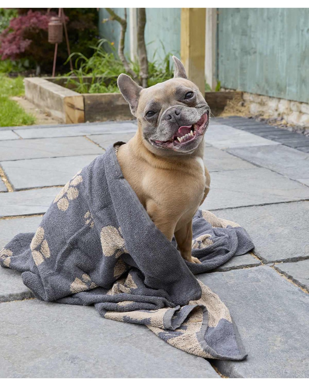 Bad artikelen HOME & LIVING Jumbo terry jacquard dog towel voor bedrukking &amp; borduring