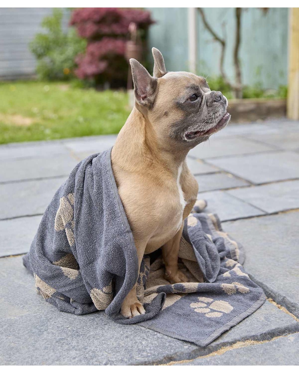 Produits éponges personnalisable HOME & LIVING Grande serviette en jacquard pour chien