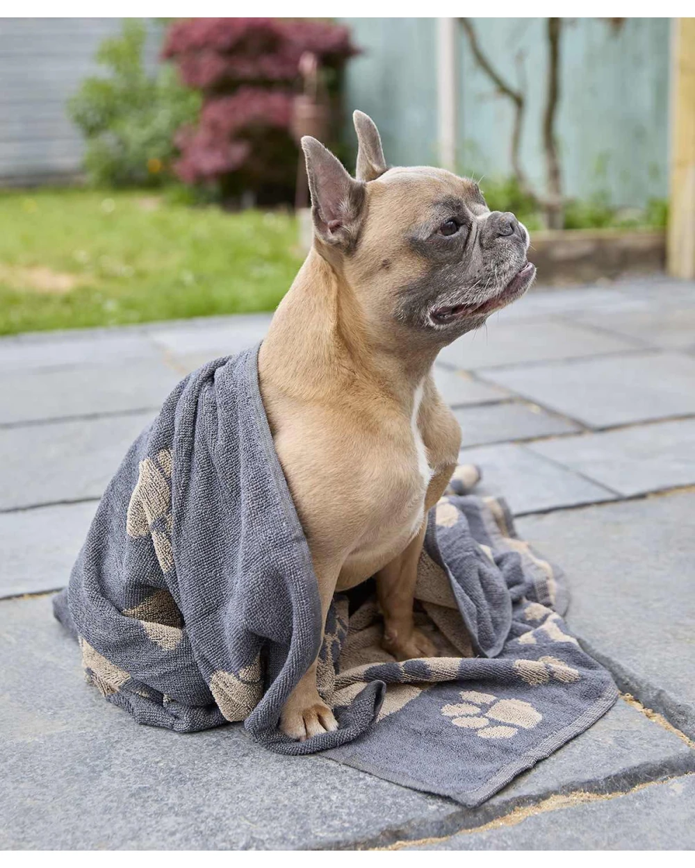 Bad artikelen HOME & LIVING Jumbo terry jacquard dog towel voor bedrukking &amp; borduring