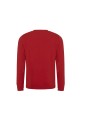 AWDIS BANFF SUSTAINABLE SWEATSHIRT /api/colors/c953313a-9c9d-493b-934e-ddcf8fada2ae personnalisable