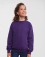 Sweaters & hoodies RUSSELL Kids raglan sleeve sweatshirt voor bedrukking &amp; borduring