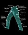 RESULT Work-Guard Action Trousers Reg Hosen personalisierbar