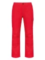 WK. DESIGNED TO WORK Pantalon de travail multipoches homme /api/colors/c953313a-9c9d-493b-934e-ddcf8fada2ae personnalisable