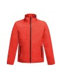 Softshells REGATTA OCTAGON II voor bedrukking &amp; borduring