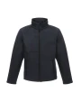 Softshells REGATTA OCTAGON II voor bedrukking &amp; borduring