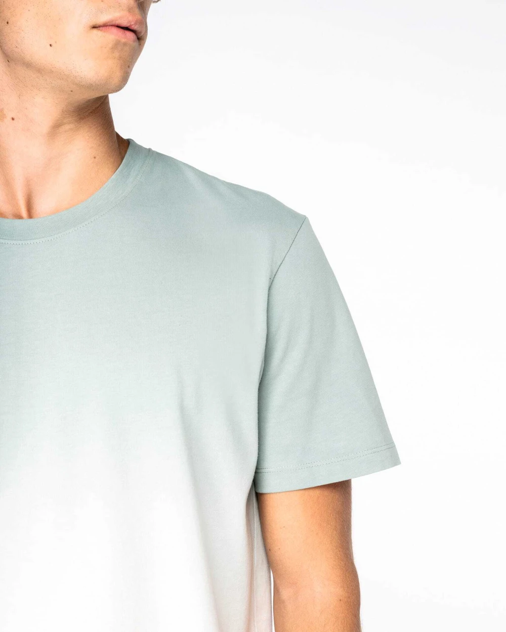 T-shirts NATIVE SPIRIT Ecologisch uniseks Dip Dye T-shirt voor bedrukking &amp; borduring
