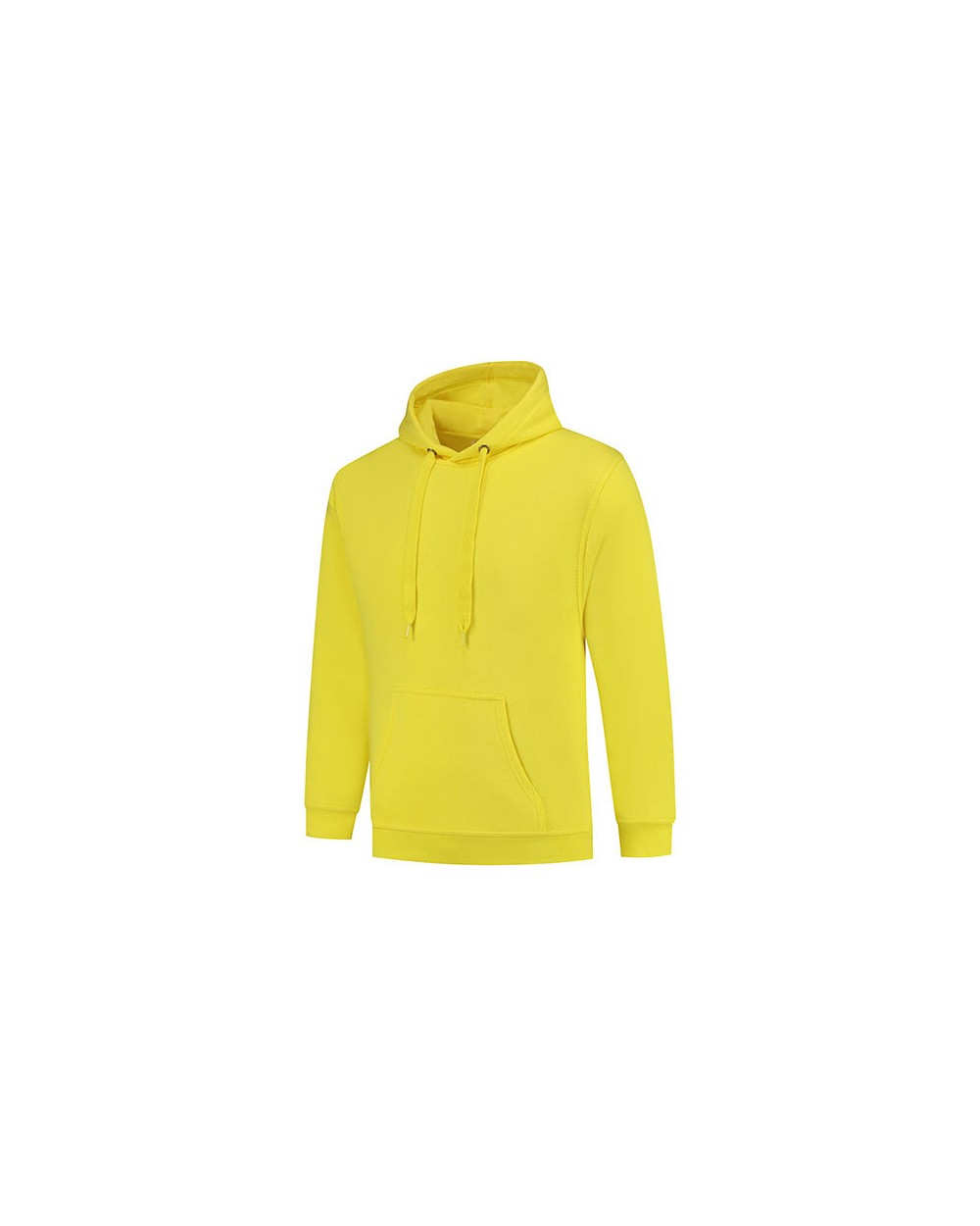 Sweaters & hoodies STARWORLD BEST VALUE HOODED voor bedrukking &amp; borduring