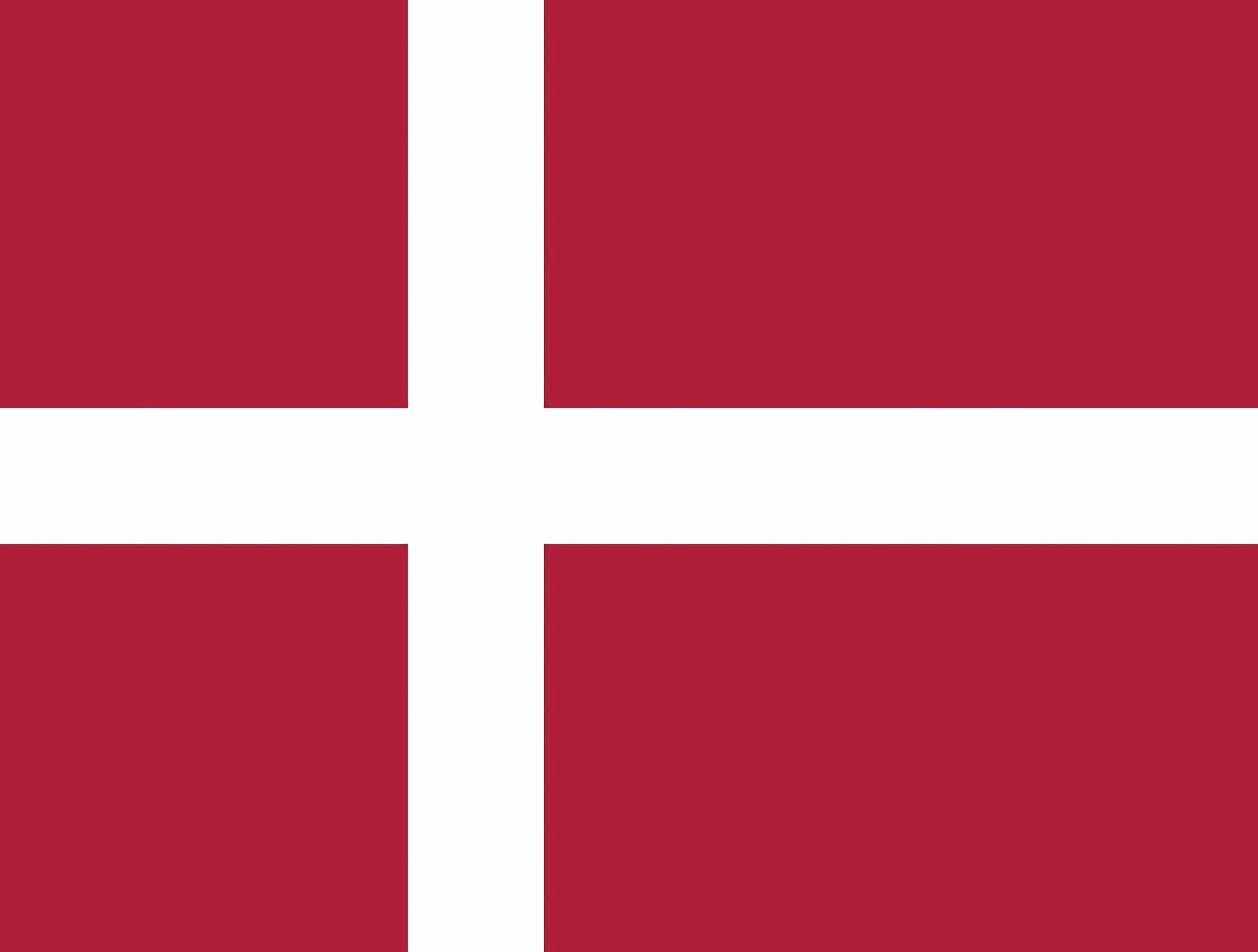 Benodigdheden PRINTWEAR Flag Denmark voor bedrukking &amp; borduring