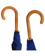 CITIZEN GREEN Citizen Green Drache 23" Regenschirm aus recyceltem Material Regenschirme personalisierbar