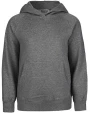 Sweaters & hoodies NEUTRAL TIGER COTTON SHOPPING BAG voor bedrukking &amp; borduring