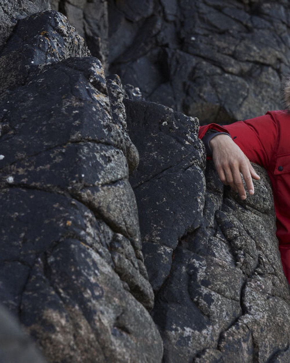 Jassen CLIQUE Malamute voor bedrukking &amp; borduring