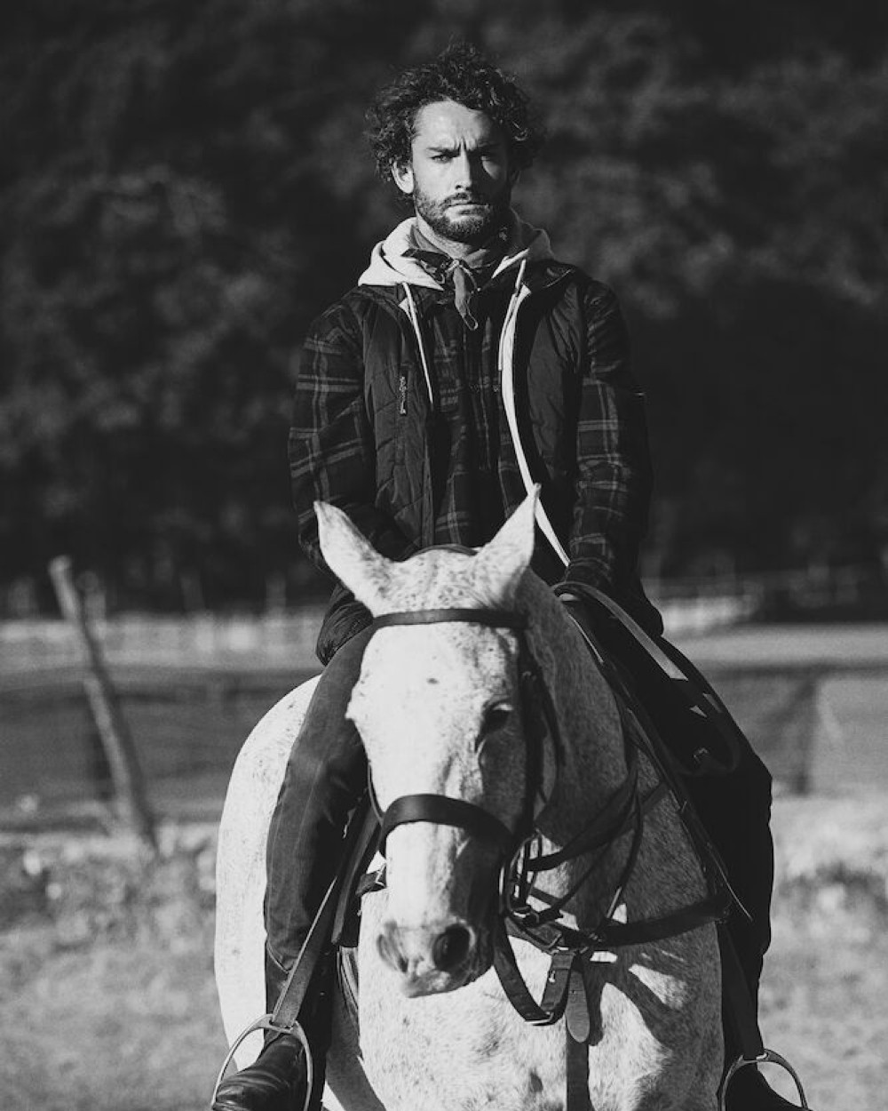 Jassen JAMES-HARVEST Deer Ridge 
Bodywarmer Heren voor bedrukking &amp; borduring