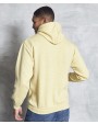 Sweat-shirts personnalisable AWDIS SURF HOODIE