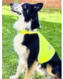 Accessoires personnalisable KORNTEX Safety Vest for Dogs