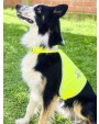 KORNTEX Safety Vest for Dogs Zubehör personalisierbar