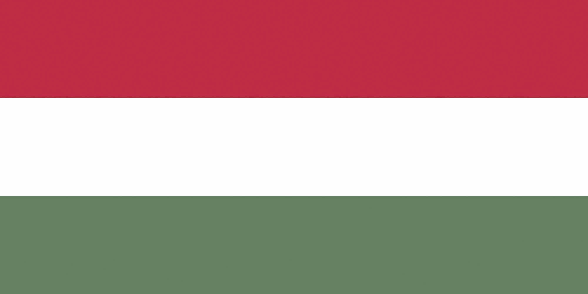 Benodigdheden PRINTWEAR Flag Hungary voor bedrukking &amp; borduring