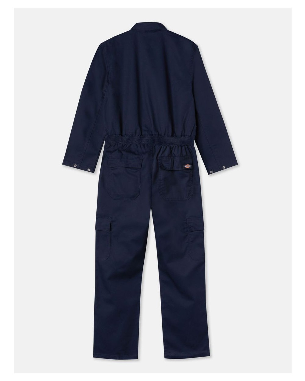 Jurken DICKIES Vrouwenoverall EVERYDAY (WOC001A) voor bedrukking &amp; borduring