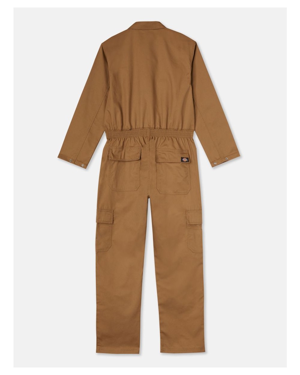 Jurken DICKIES Vrouwenoverall EVERYDAY (WOC001A) voor bedrukking &amp; borduring