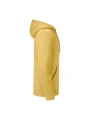 RUSSELL Sweat-shirt capuche Authentic homme /api/colors/9bf5e616-9a64-4162-aeda-d36abdca2633 personnalisable