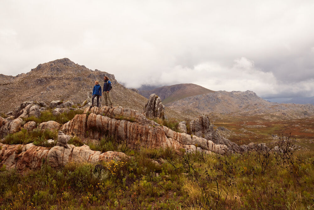 Softshells personnalisable PRINTER Prime 
Veste Softshell Hommes